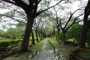 حديقة ليجندا في لانكاوي - ماليزيا