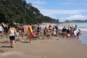 شاطئ المياه الساخنة في نيوزيلندا