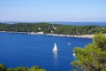 دالماسيا