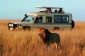 السياحة في افريقيا